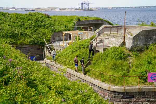 Bolger pa ungdomsuddannelser 8