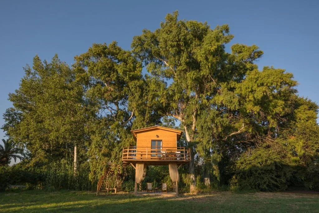 River Tree House Ζάκυνθος