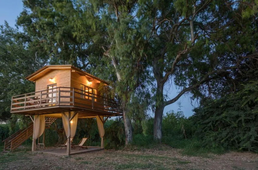River Tree house 1