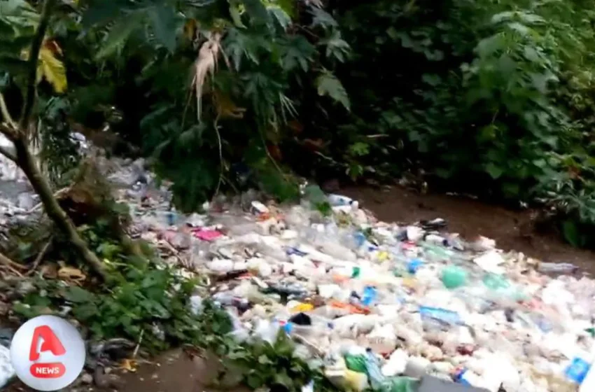 astros kinourias skoupidia thalassa