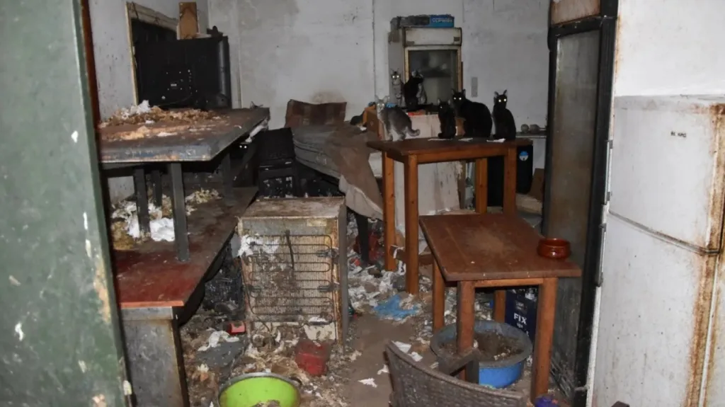 donousa gates prostimo