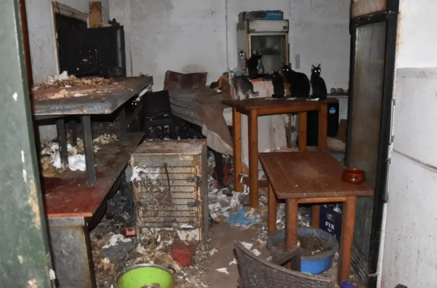 donousa gates prostimo