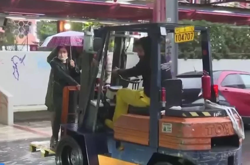 klark paleta 281125 1