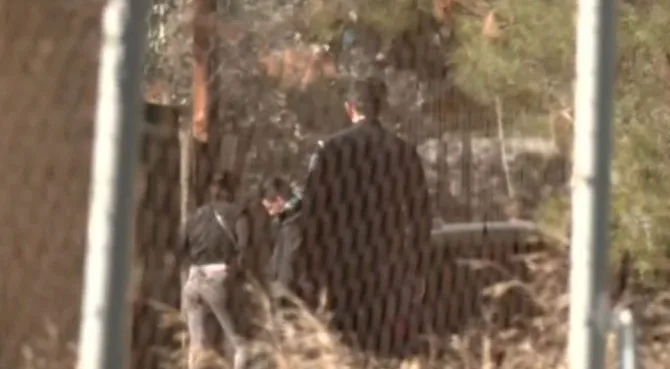 peramos dolofonia 768x496 1