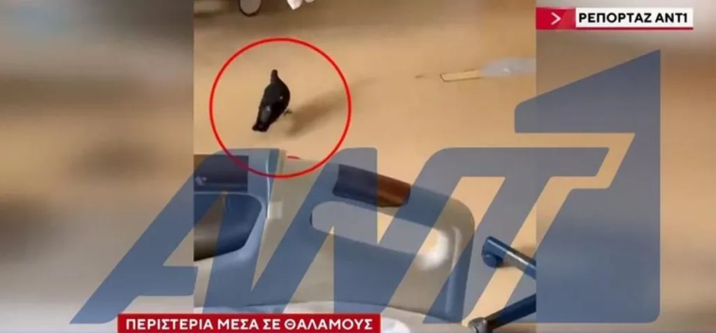 peristeria rodos nosokomeio