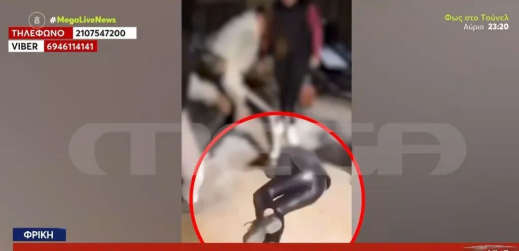 petroupoli mathitria ksylodarmos