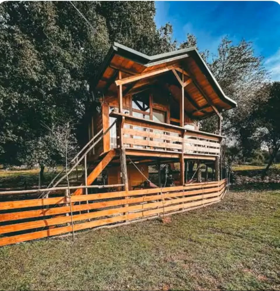 Δεντρόσπιτο του Δράκου 1