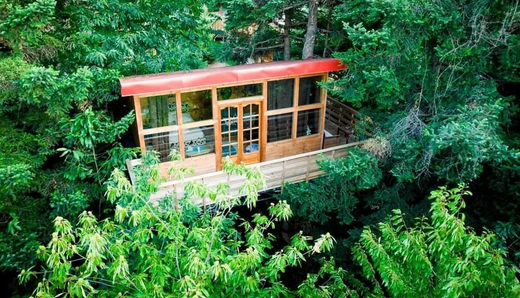 Κατσινης Δυτική Φθιώτιδα