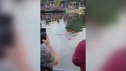  Σοκ στην Ινδονησία: Κροκόδειλος κατασπάραξε 10χρονο αγόρι την ώρα που κολυμπούσε 