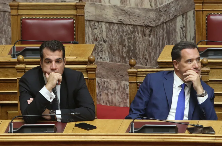  Γεωργιάδης και Πλεύρης κατά Διεθνούς Αμνηστίας και Χάγης: ”Ιδεολογικές αποφάσεις εις βάρος της Δύσης”