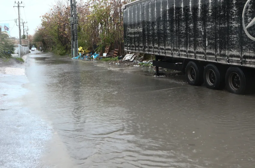  Κακοκαιρία: Καταστράφηκε καταφύγιο αδέσποτων ζώων στη Νίκαια -Έκκληση για βοήθεια (vid)