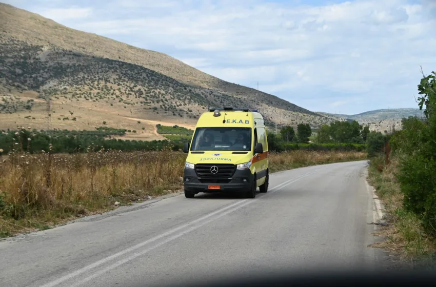  Τραγωδία στη Ζάκυνθο: Νεκρό παιδί 18 μηνών μετά από άγρια επίθεση πίτμπουλ