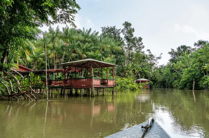  Τραγωδία στη Βραζιλία: Κοριτσάκι 2 χρονών έπεσε σε λίμνη και το κατασπάραξαν τα πιράνχας