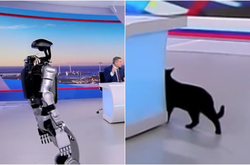  ΣΚΑΪ: Πανικός στο πλατό με το ρομπότ Σοφία-Τρόμαξε ο μαύρος γάτος