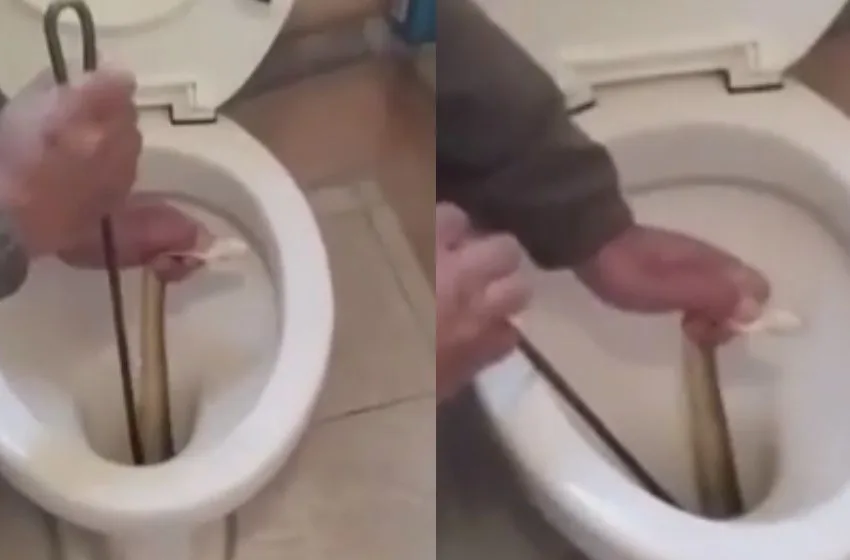  Καστοριά: Ένοικοι βρήκαν φίδι στη λεκάνη της τουαλέτας του σπιτιού τους (vid)