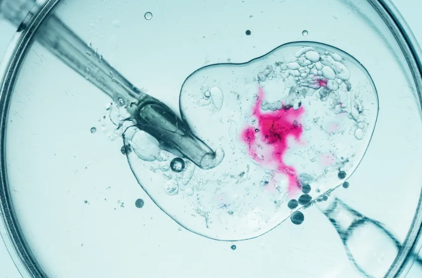 sperma dotis klinikes paidia karkinos