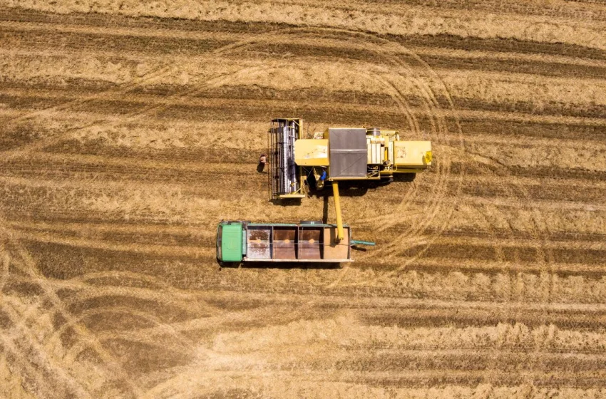  ΟΠΕΚΕΠΕ: Στο μικροσκόπιο της ΑΑΔΕ 3.000 “δικαιούχοι”-Έσβηναν και έγραφαν αγρούς στο Ε9