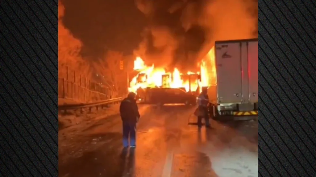 xrwma iaponia karampola