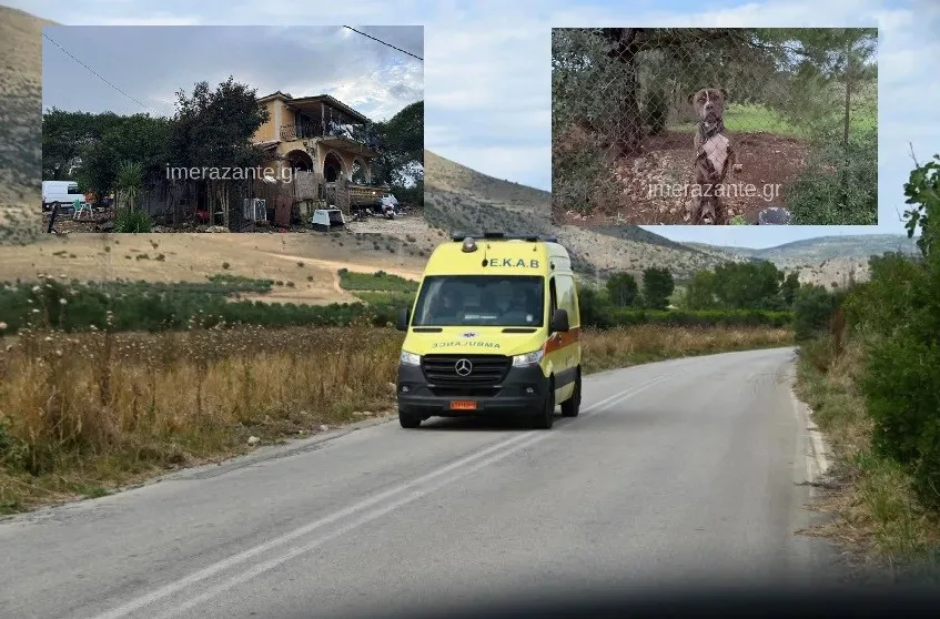  Ζάκυνθος:” Έφαγε το παιδί μου”-Πως έγινε η φονική επίθεση του πίτμπουλ στον 2χρονο-Συνέλαβαν τους γονείς