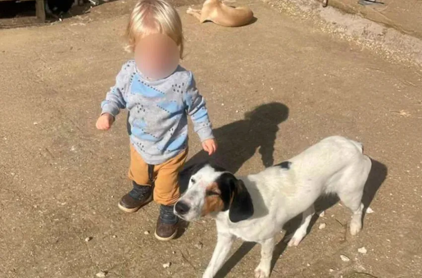  Ζάκυνθος:”Δεν εγκατέλειψα το παιδί μου”,λέει ο πατέρας του 2χρονου για τον θάνατο του γιου του από το πίτμπουλ