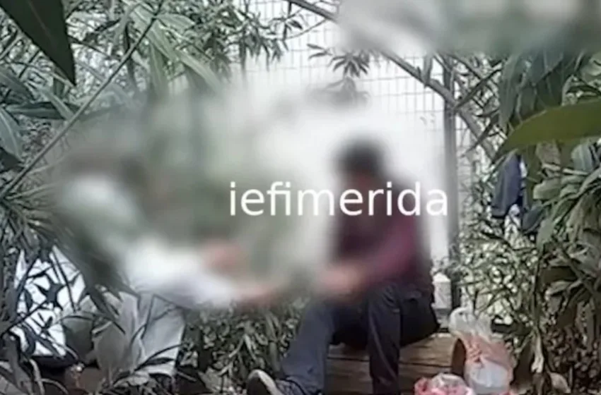  ΕΛΑΣ: Με drone κατέγραψε τη δράση των διακινητών ναρκωτικών στη Πανεπιστημιούπολη