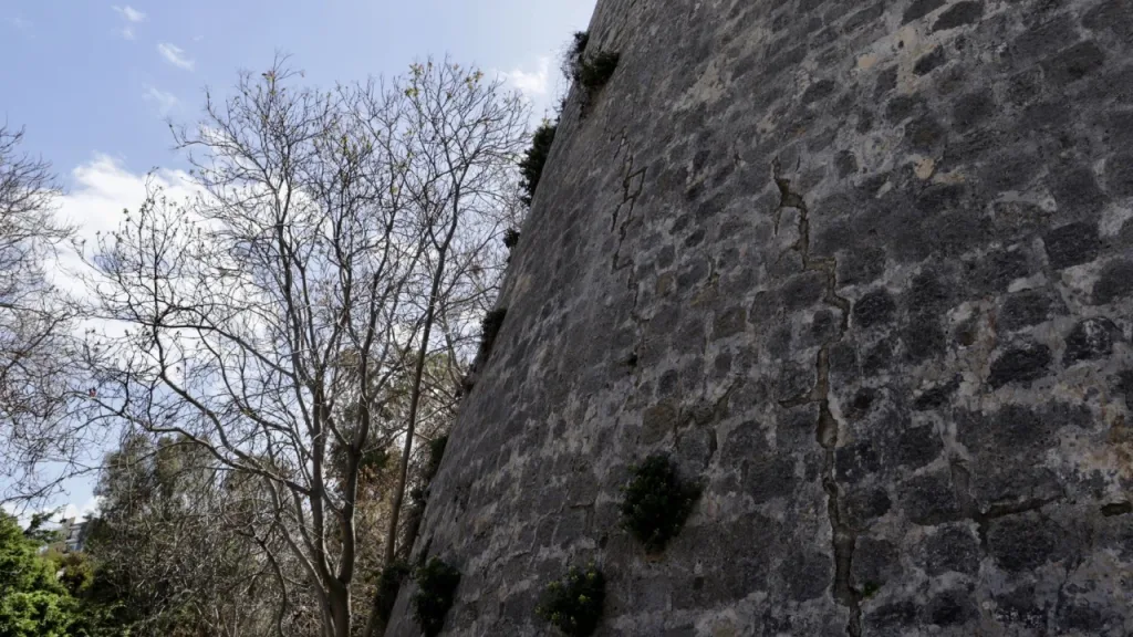 agalma venizelou 1.jpg