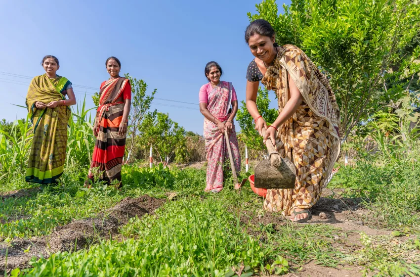  Πώς ένα μικρό μπλε λουλούδι αλλάζει… “μαγικά” τις τύχες των Ινδών αγροτών
