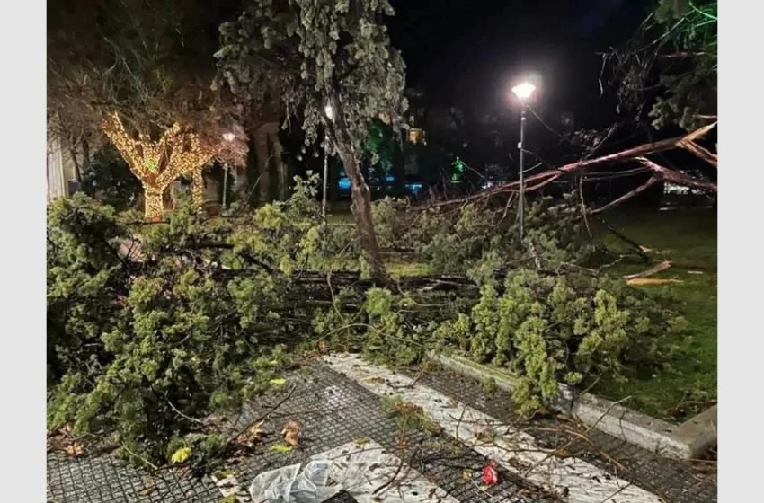  Αλεξανδρούπολη: Ανεμοστρόβιλος σάρωσε την πόλη-Έπεσαν δέντρα, βγήκαν βάρκες στη στεριά