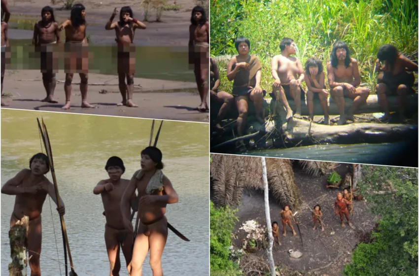  Οι απομονωμένες φυλές του Αμαζονίου και το τελευταίο βίντεο του περιβαλλοντολόγου Πολ Ροζόλι