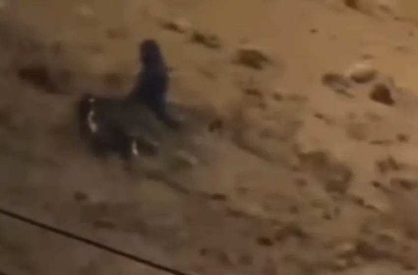  Άνω Γλυφάδα: Δραματική διάσωση γυναίκας κοντά στο σημείο με τη φονική παράσυρση από τον χείμαρρο