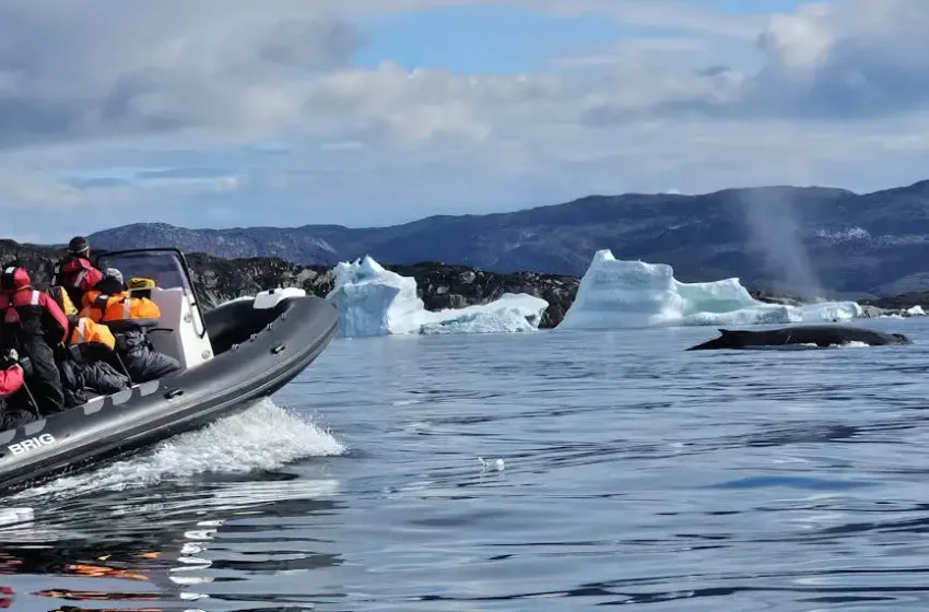  Γροιλανδία:”Καλύτερα θα ήταν να εξορύξεις στο φεγγάρι για σπάνιες γαίες”