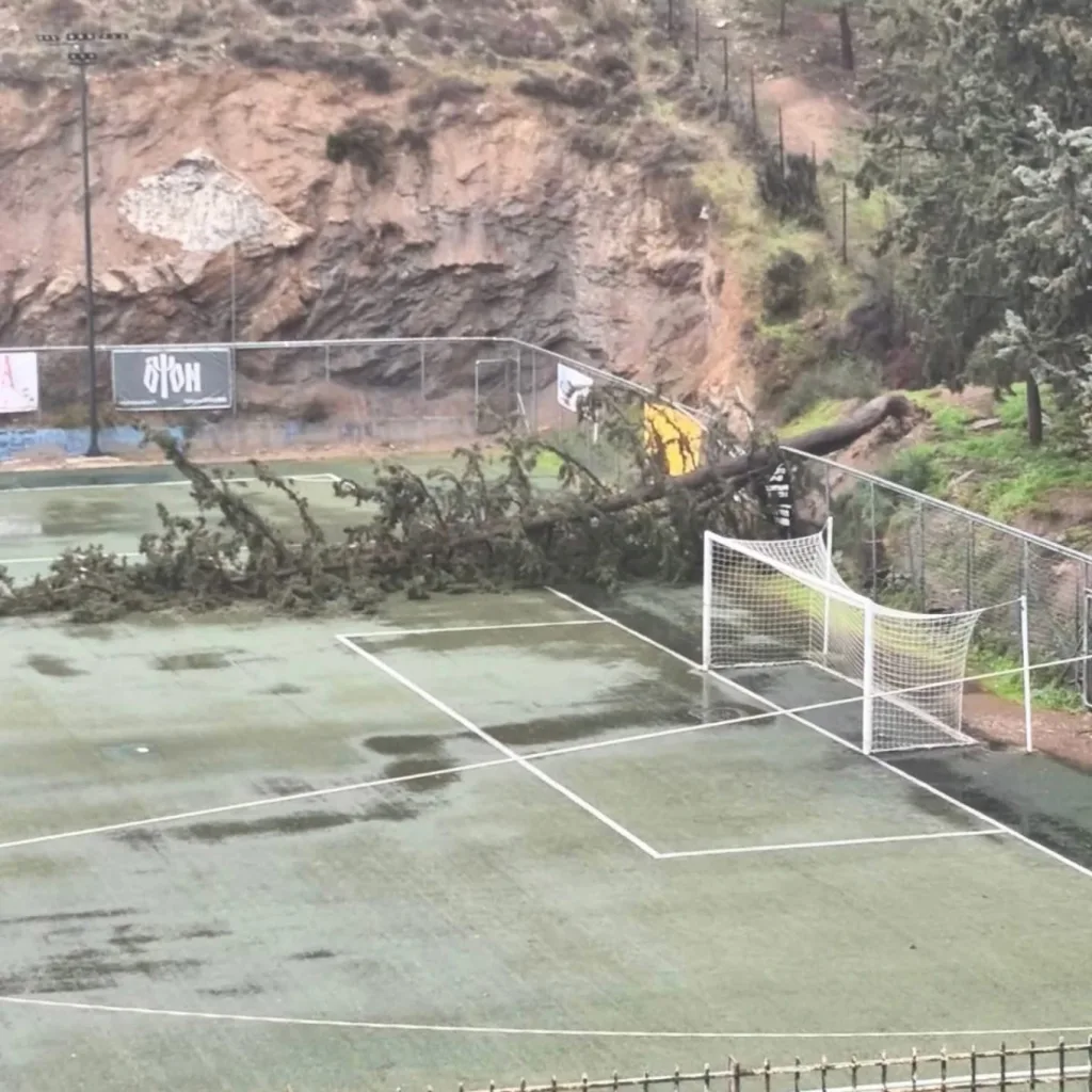 ilioupoli dentro epese