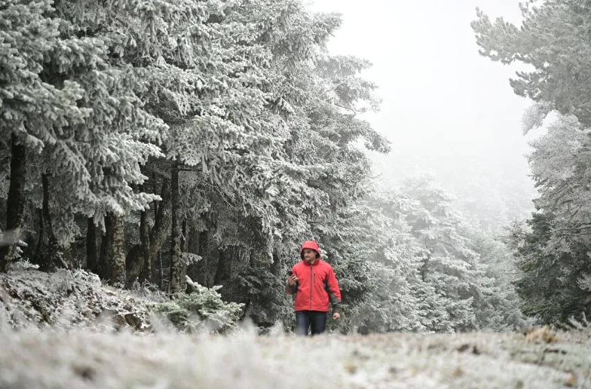  Σφοδρή ψυχρή εισβολή: Παγετός, θυελλώδεις άνεμοι και χιόνια σε πολλές περιοχές από σήμερα