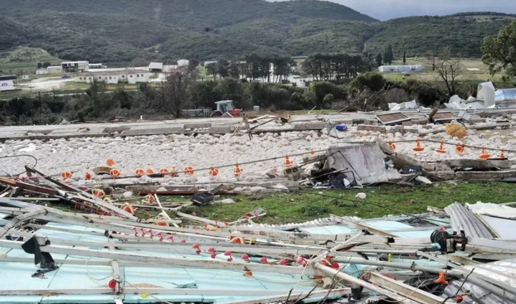 kalpaki anemostrovilos ptinotrofeio kotopoula