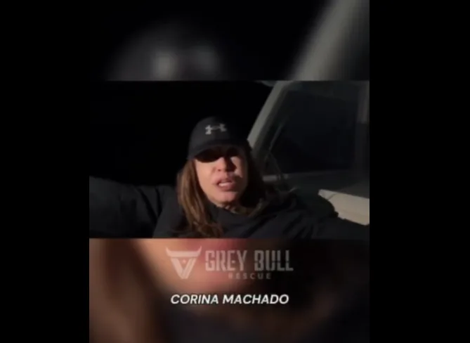 maria korina matsado