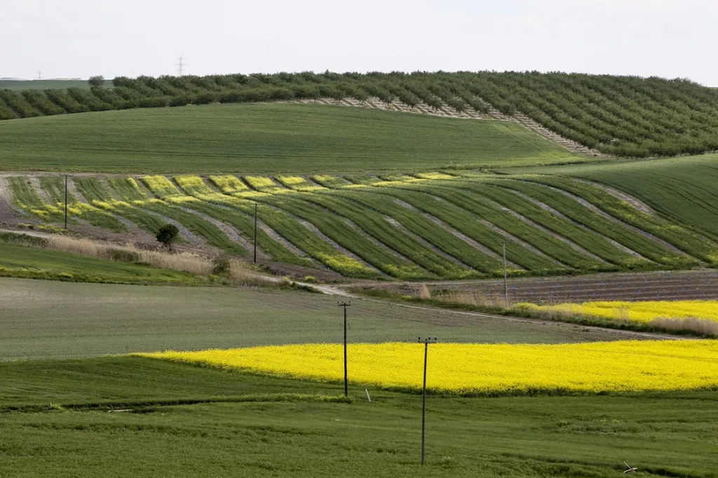 mercosur ellinika proionta