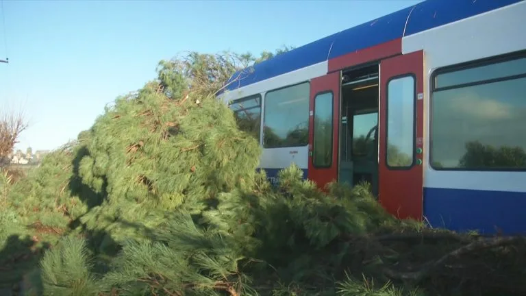  Πύργος: Πτώση δέντρου σε τρένο-Τραυματίας ο μηχανοδηγός