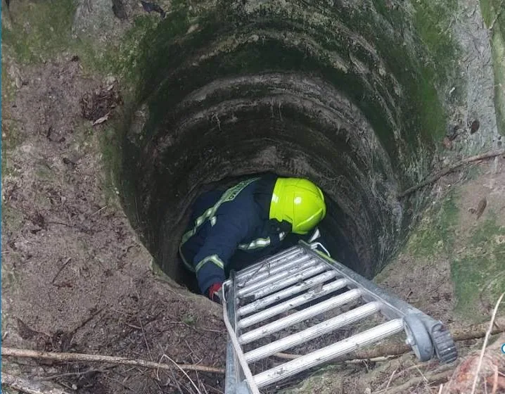  Λάρισα: Πυροσβέστες έσωσαν σκύλο που έπεσε σε πηγάδι βάθους επτά μέτρων