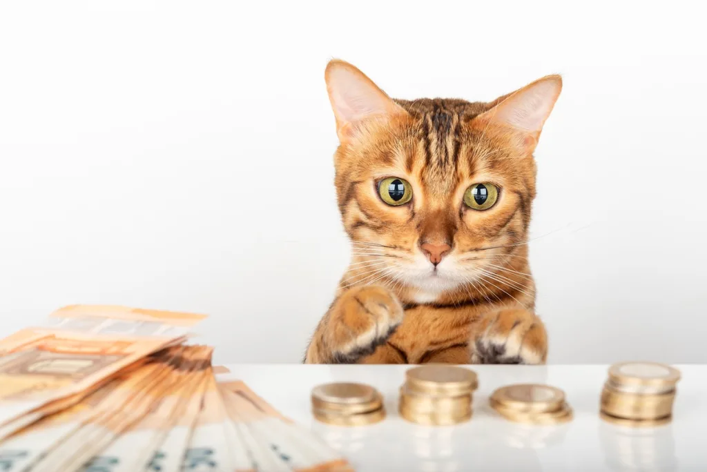 shutterstock 2154592699