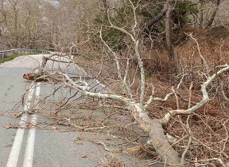  Αλεξανδρούπολη-Σαμοθράκη: Aπαγορεύτηκε η κυκλοφορία λόγω θυελλωδών ανέμων