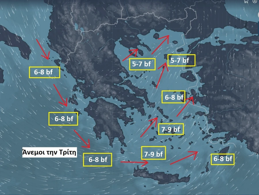 1771218139621 59538133 2