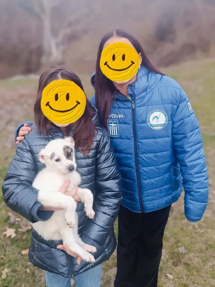 488909225 122122834694695996 3882381546308345318 n