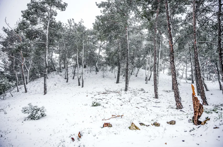  Μακεδονία: Σε ποια σημεία του οδικού δικτύου  χρειάζονται αλυσίδες και πού έχει διακοπεί η κυκλοφορία