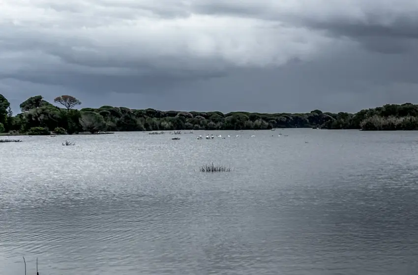  Δήμαρχος Σουφλίου: O κίνδυνος δεν έχει διαφύγει – Τα νερά είναι ανεξέλεγκτα