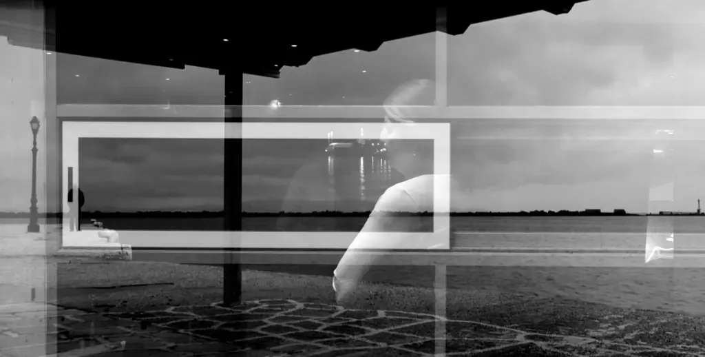 28ο Φεστιβάλ Ντοκιμαντέρ: Η Ζιλιέτ Μπινός και πάλι στην Θεσσαλονίκη - Τι θα δούμε φέτος 11 EVELINE 2020 1