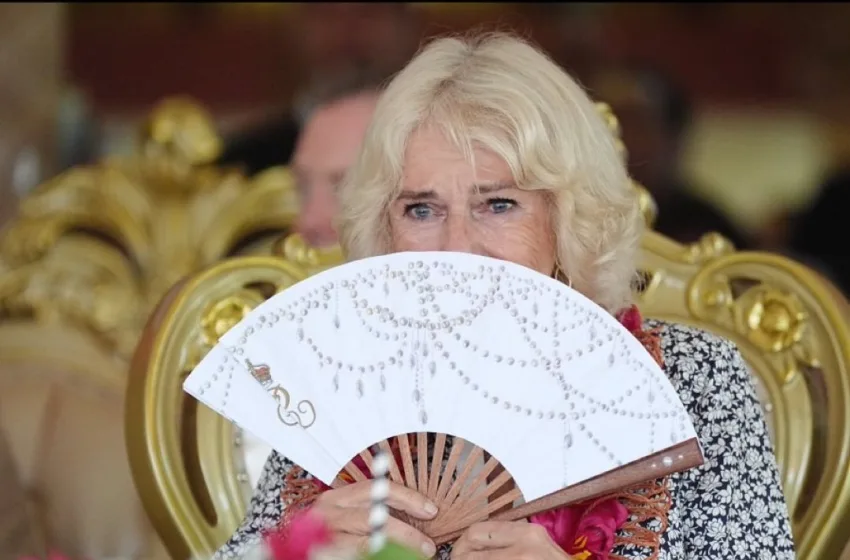  Βασίλισσα Καμίλα: Σιωπή μπροστά στις ερωτήσεις για το σκάνδαλο Έπσταϊν 