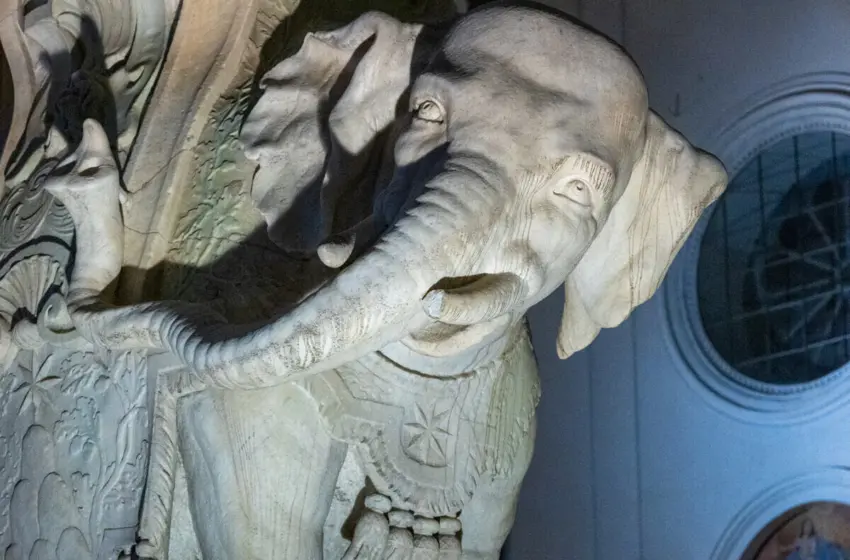  Ιταλία: Θύμα βανδαλισμού το διάσημο Elefantino του Μπερνίνι στη Ρώμη – Έσπασε ο χαυλιόδοντας του ελέφαντα