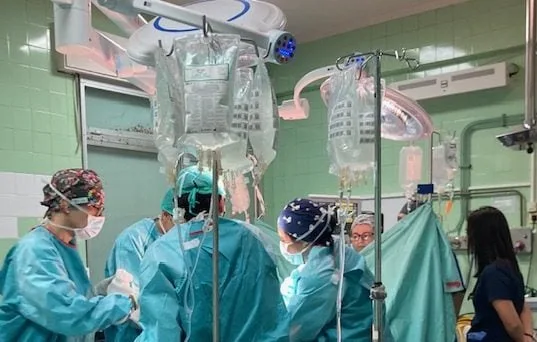 dorea organon e1770740022685