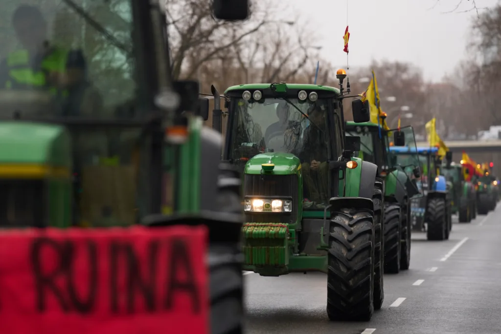 ispania agrotes madriti