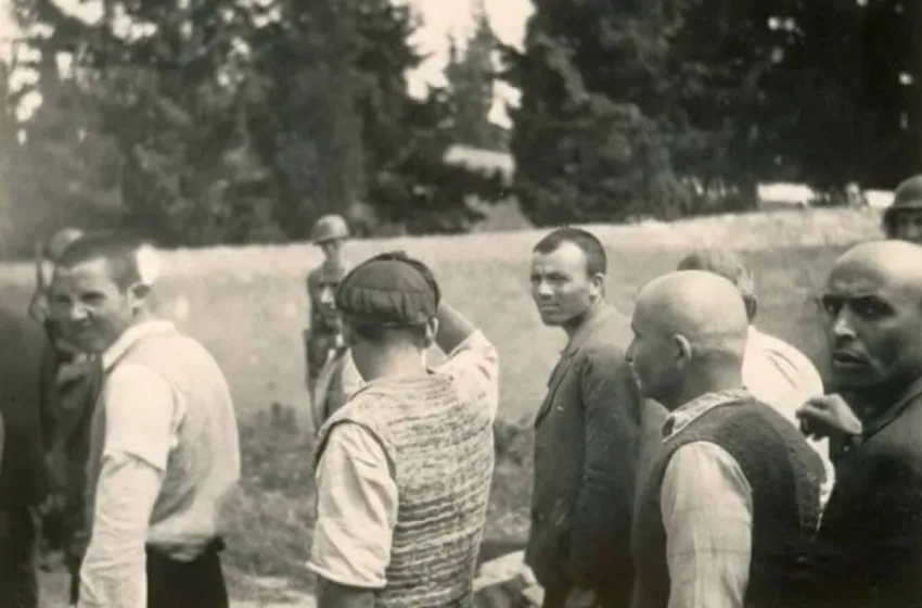 kaisariani 1 850x560 1 1